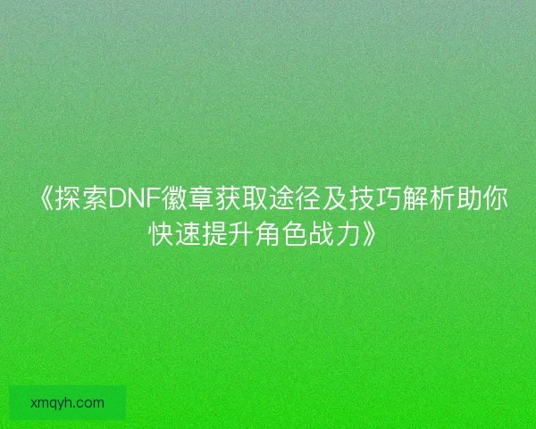 《探索DNF徽章获取途径及技巧解析助你快速提升角色战力》