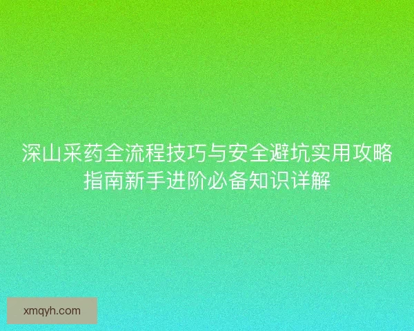 深山采药全流程技巧与安全避坑实用攻略指南新手进阶必备知识详解