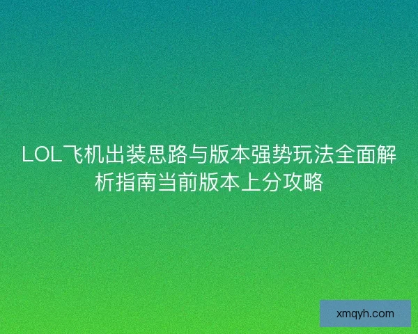 LOL飞机出装思路与版本强势玩法全面解析指南当前版本上分攻略