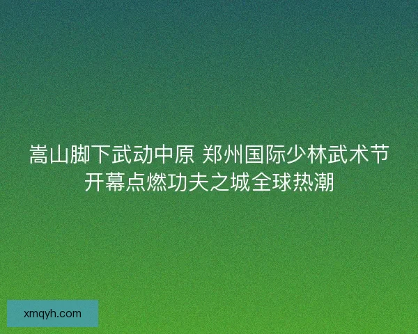 嵩山脚下武动中原 郑州国际少林武术节开幕点燃功夫之城全球热潮
