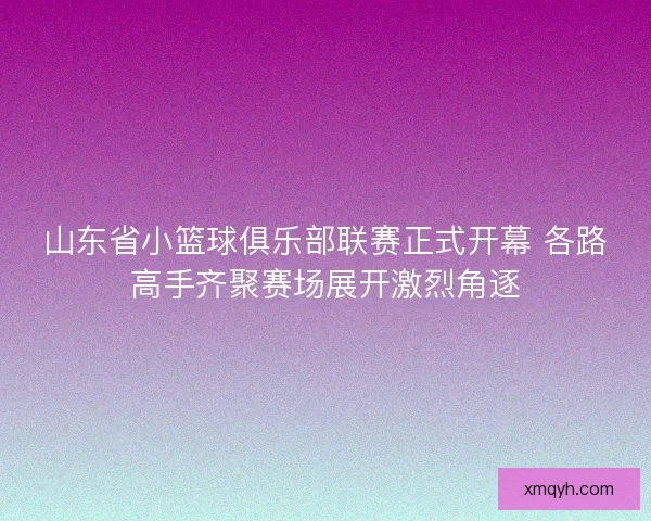 山东省小篮球俱乐部联赛正式开幕 各路高手齐聚赛场展开激烈角逐